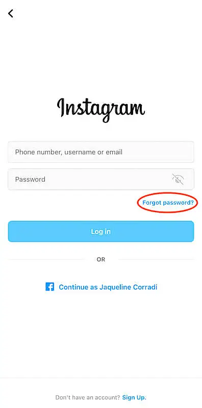 Instagram log in section