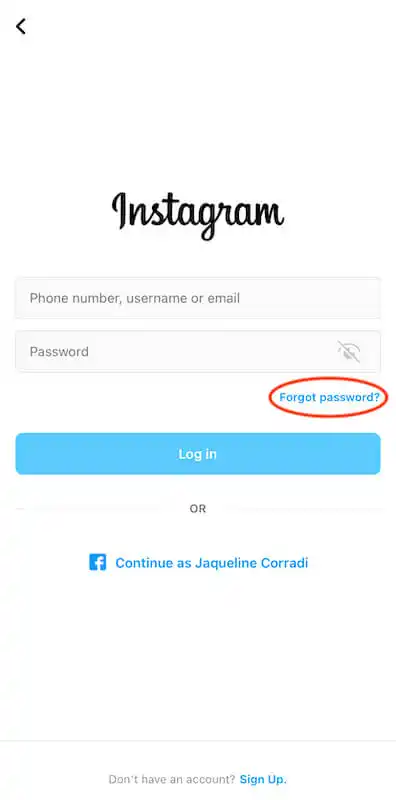 Instagram log in section