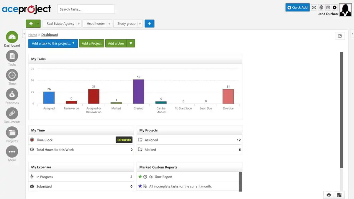 AceProject Dashboard