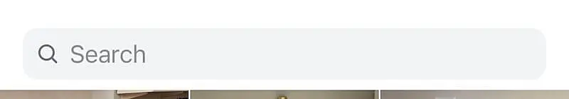 Instagram search bar