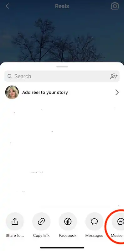 Share reel page