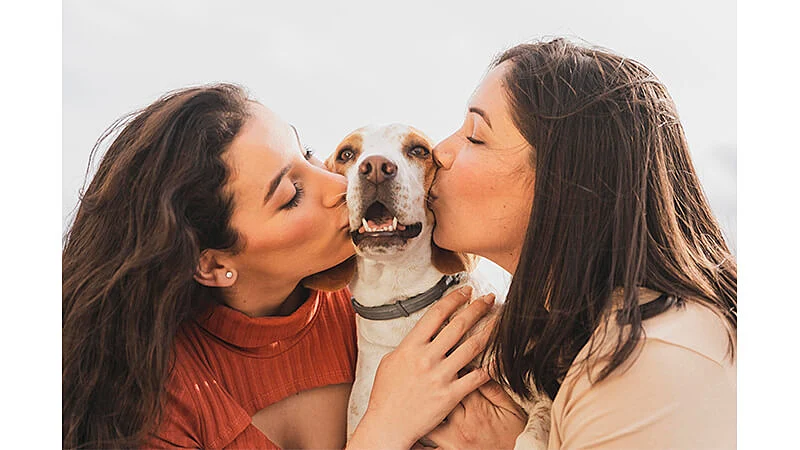 Foto de um casal com um pet