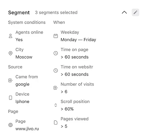 JivoChat software segment settings interface