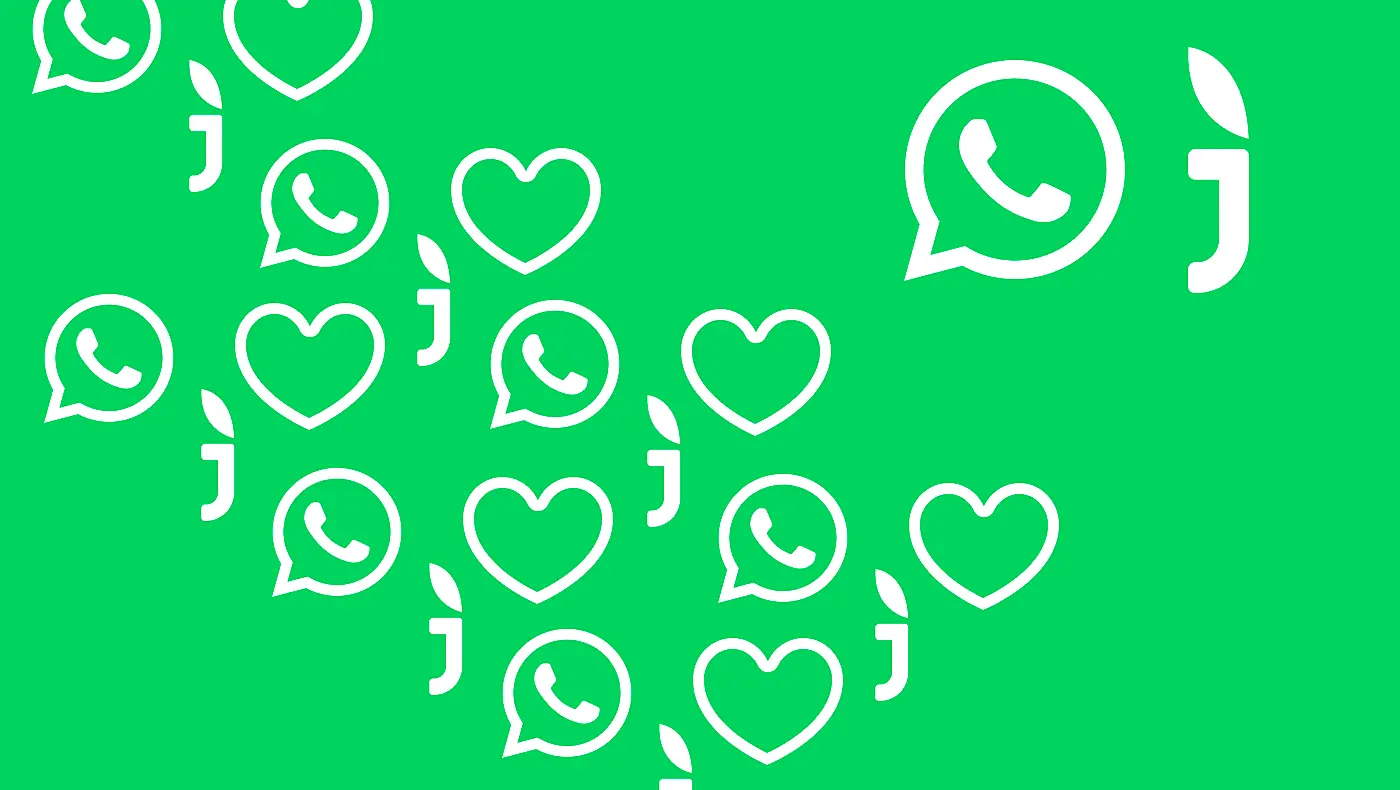 К Jivo теперь можно подключить WhatsApp