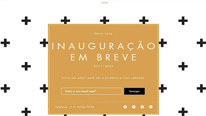 Captura de tela de landing page exemplos da wix
