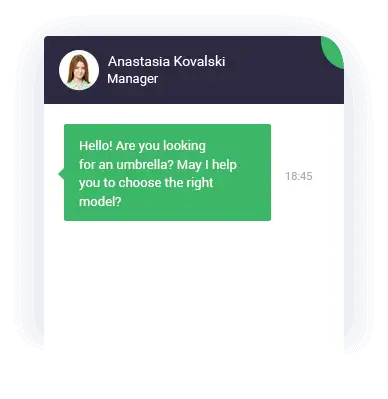 Live chat example