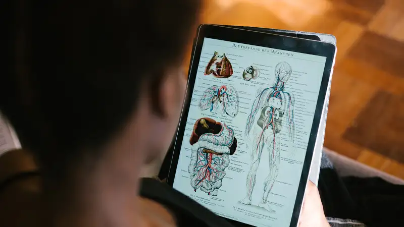 Foto de un chico estudiando a través de una tableta