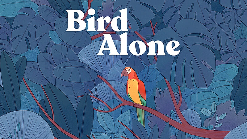 imagem com uma arara em cima de um galho e a logo do Bird Alone logo acima