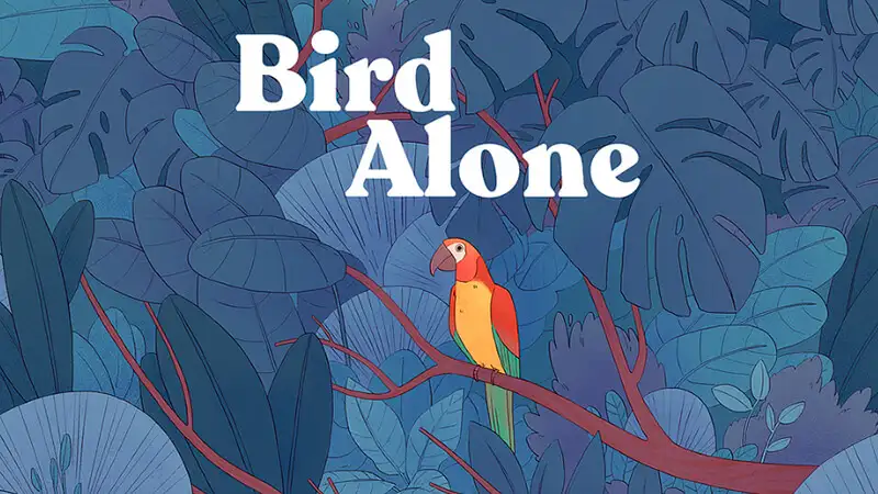 imagem com uma arara em cima de um galho e a logo do Bird Alone logo acima