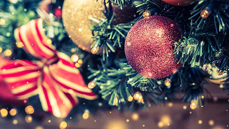 Mensaje de Navidad