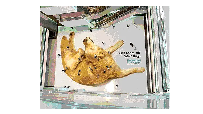 Anuncio de un medicamento antipulgas con un perro arañando en el suelo de un centro comercial.