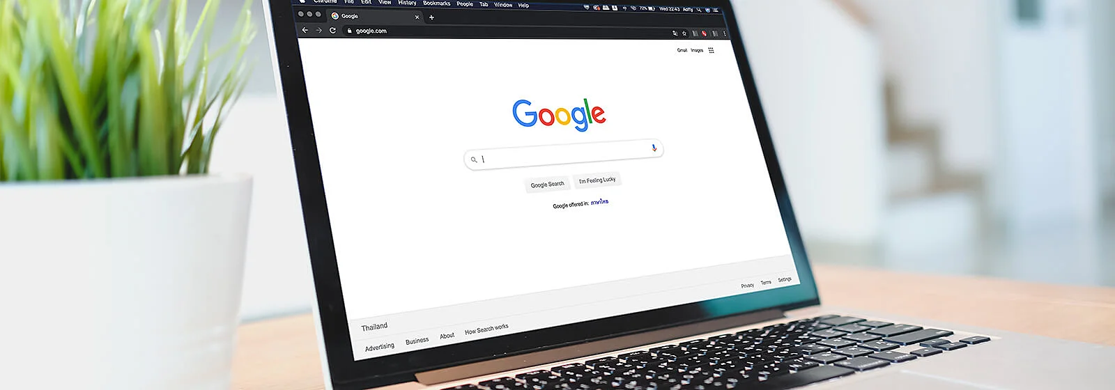 minha-lista-de-interesses-google