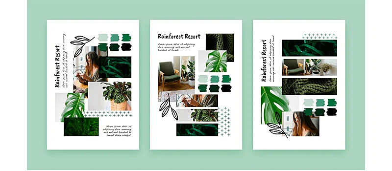 Moodboard naturaleza