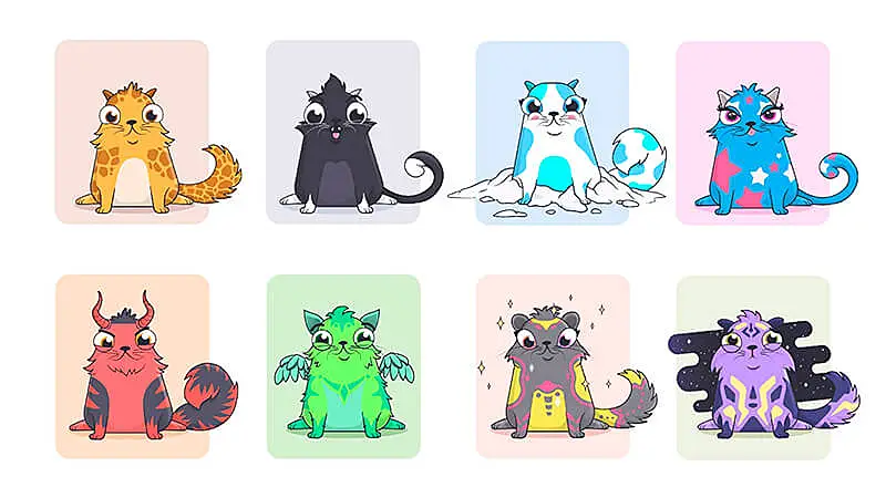 imagem que mostra varios tipos diferentes de gatinhos da coleção CryptoKitties