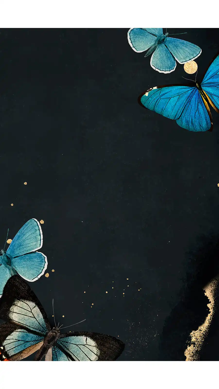 papel de parede para celular Papel de parede para celular com borboletas azuis