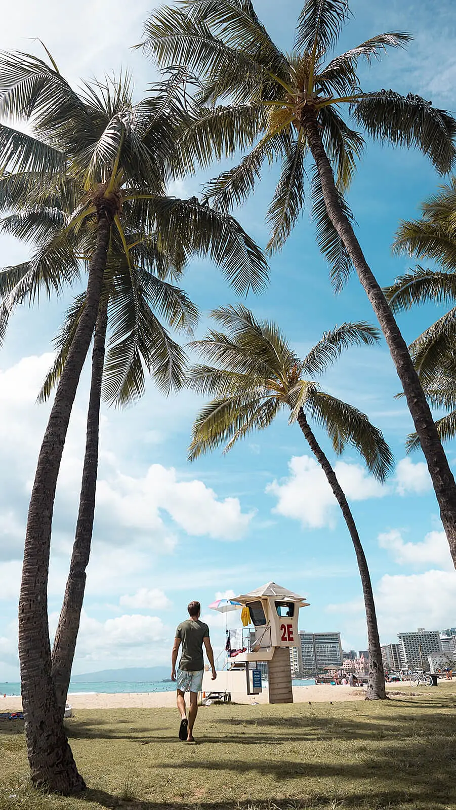 Foto de uma rua com coqueiros