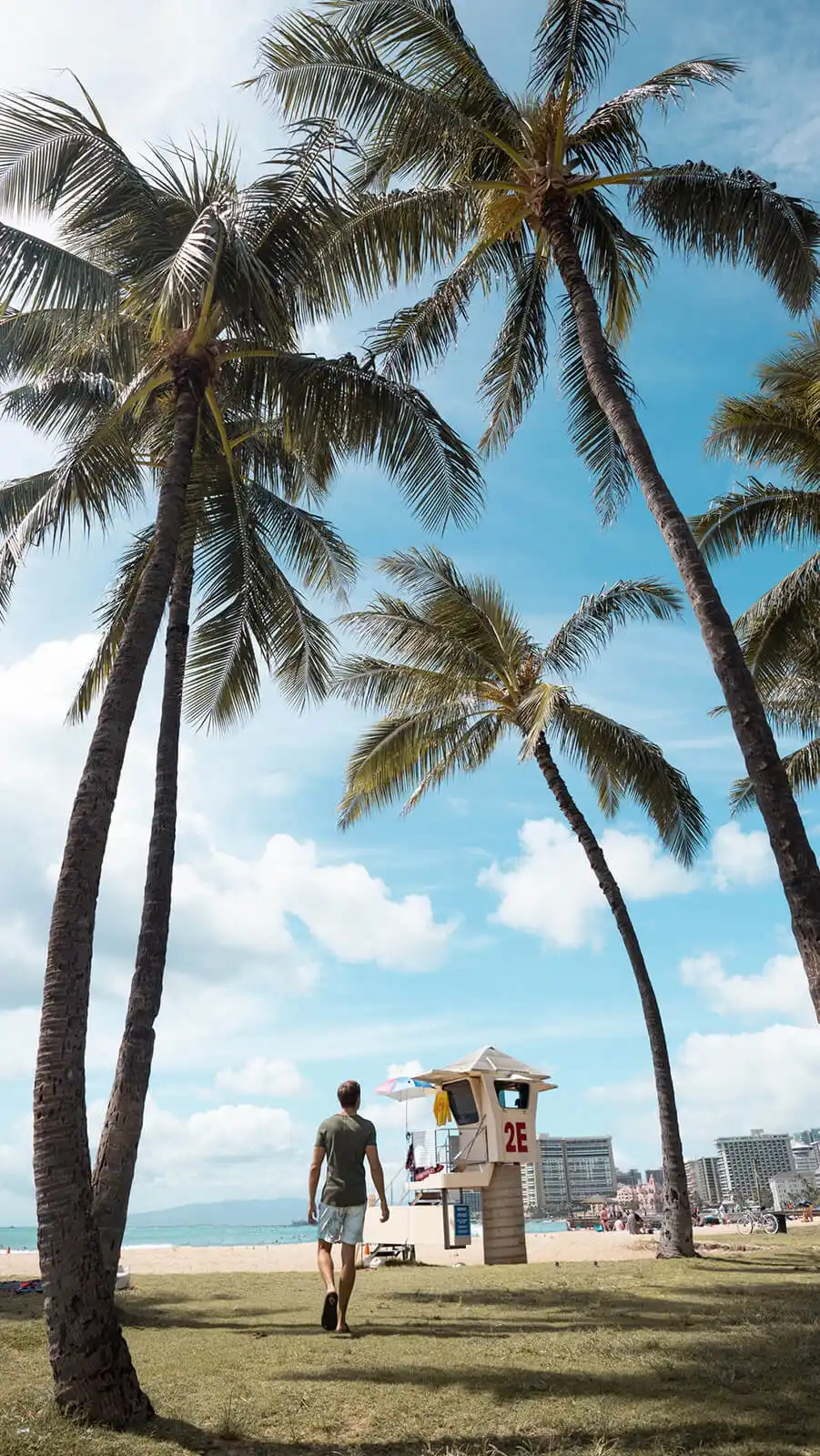 papel de parede para celular Foto de uma rua com coqueiros