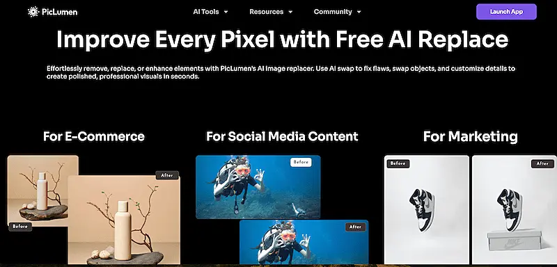 PicLumen AI Replace page