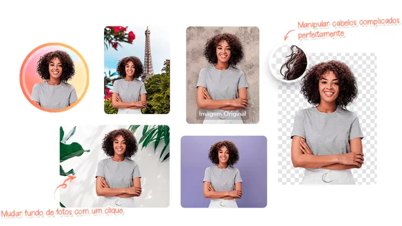 PicWish - Removedor de fundo Interface picwish