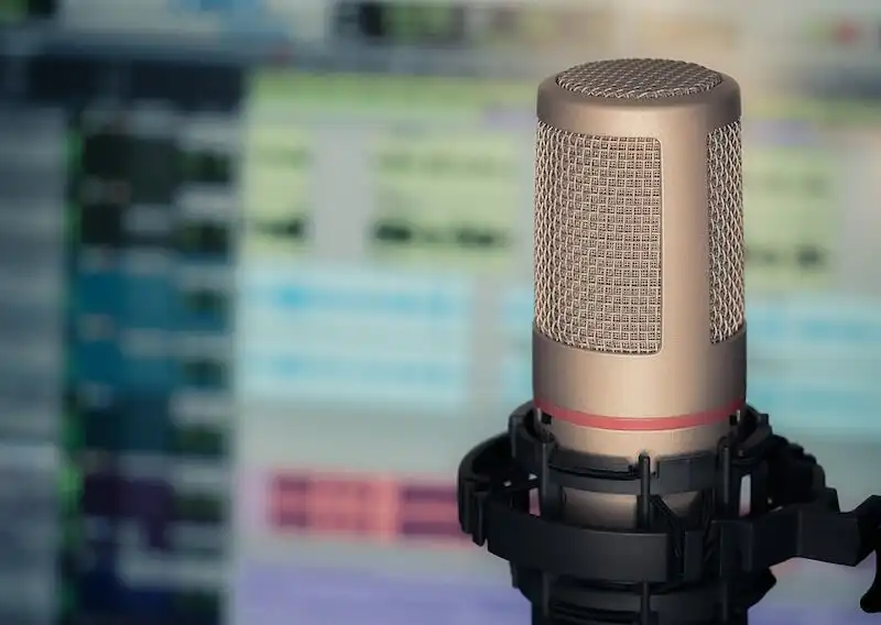 The image shows a microphone