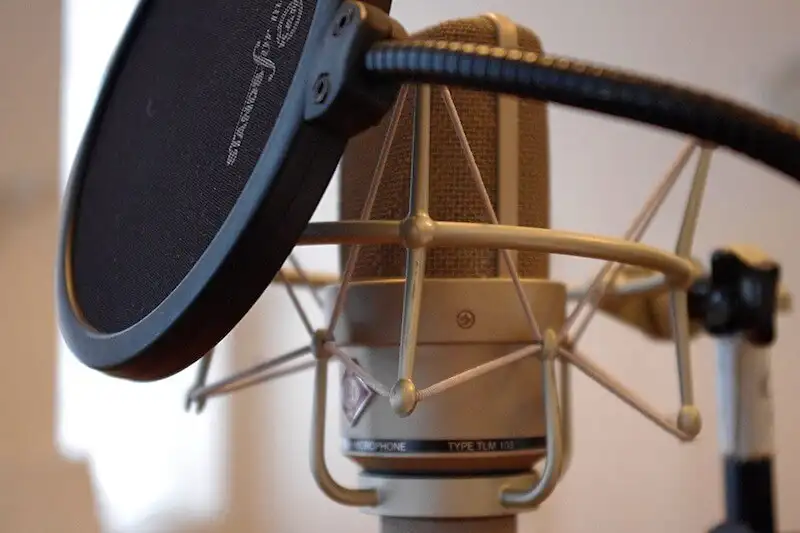 Pop filter and microphone 