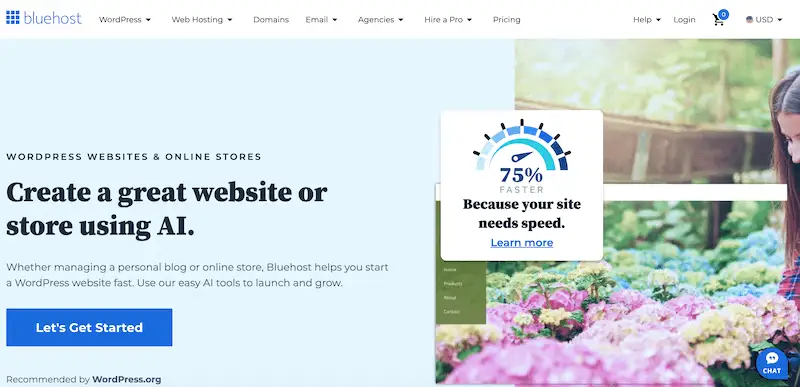 Popular CMS platforms - Bluehost Bluehost page