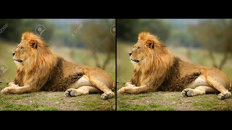 quitar-marca-de-agua