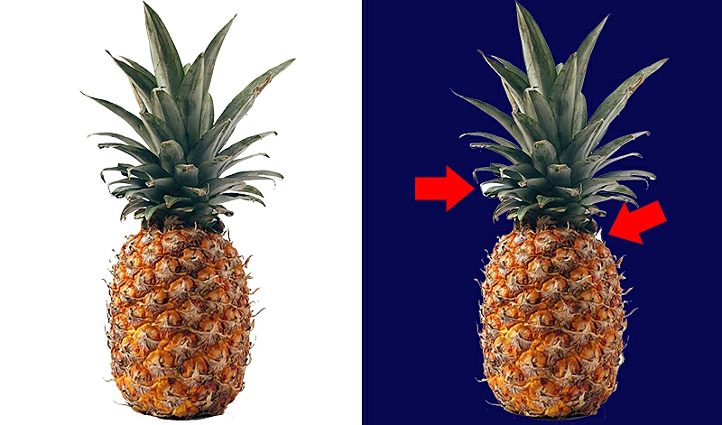 Foto de um abacaxi após remover o fundo da imagem com fundo claro e escuro