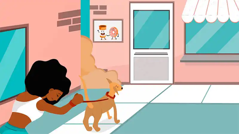 Pessoa passeando com cachorros de diversas raças