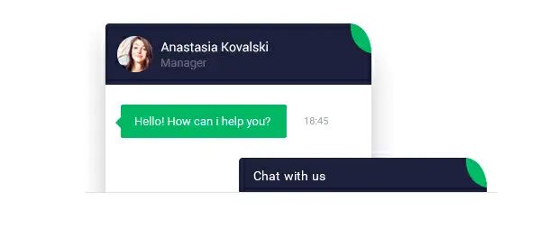 Live Chat windo example