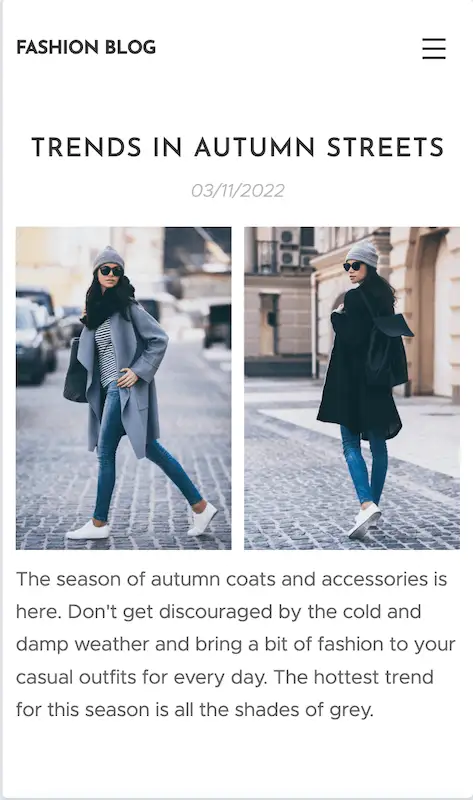 Responsive website templates 20 Fashion Blog template for desktop