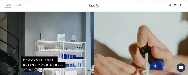 Responsive website templates 25 Lanily template for desktop
