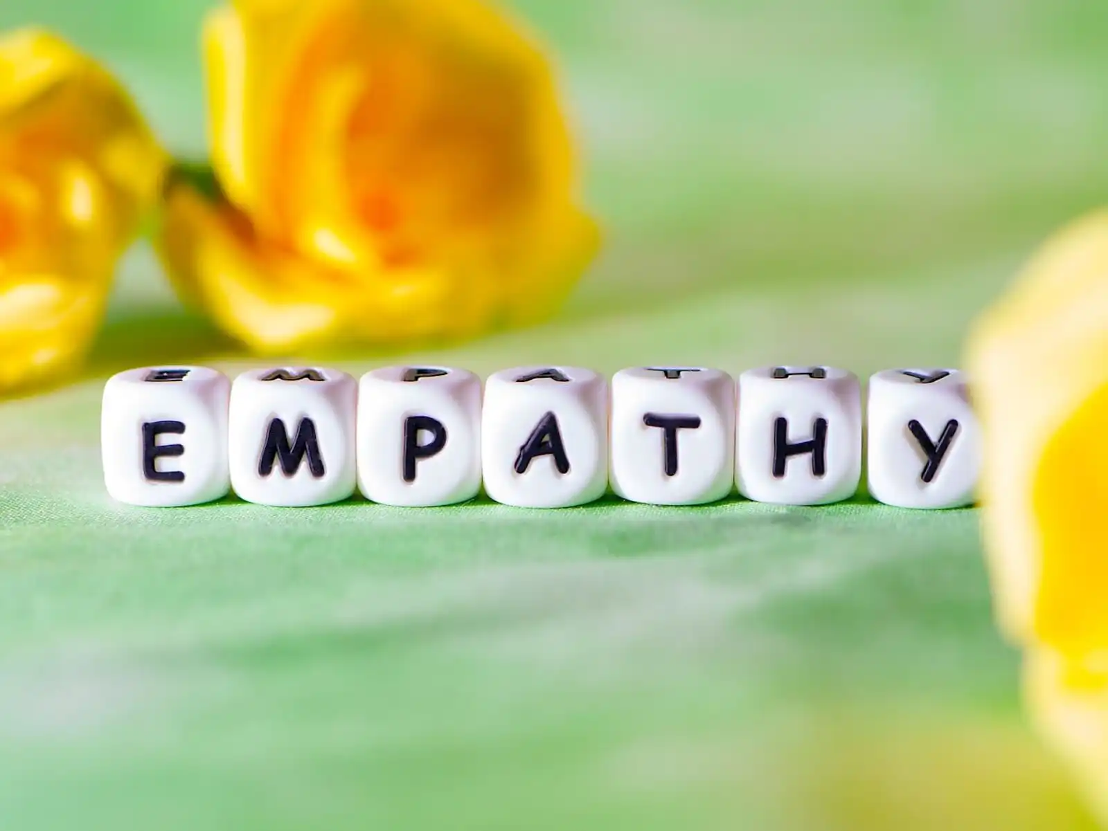 empathy-statements-for-customer-service
