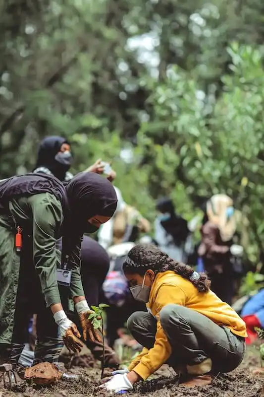 The image shows a woman and a kid planting a tree.