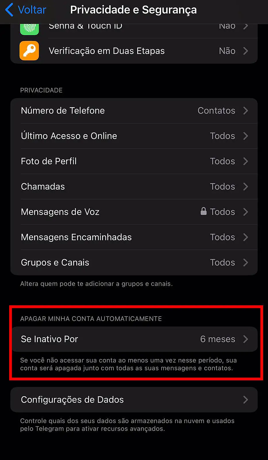 Menu de privacidade e segurança Telegram