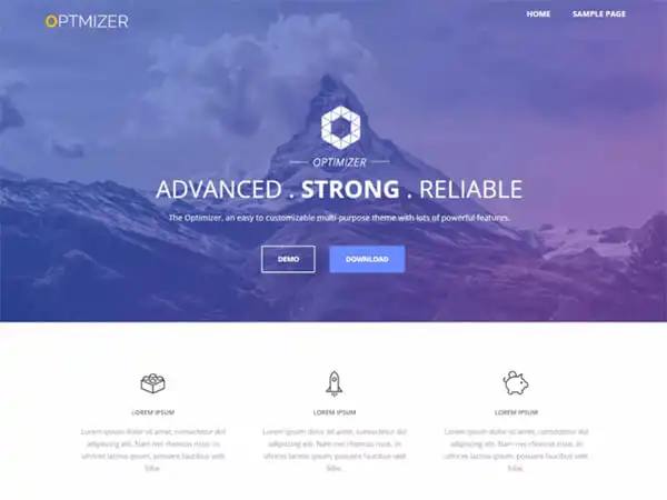 Tema WordPress Optmizer