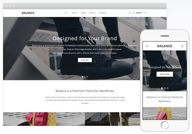 Template de site Balance