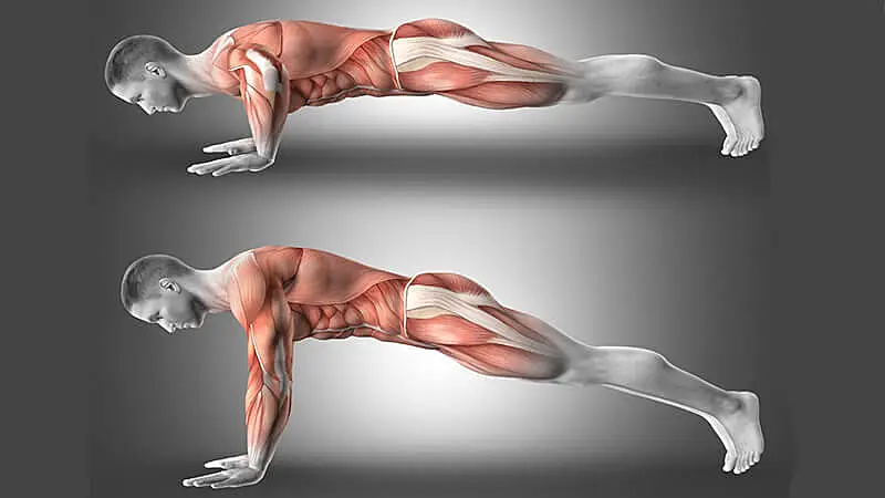 Renderização 3D de uma pessoa executando a flexão de braço