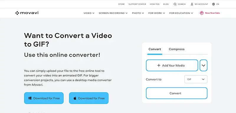 Movavi video to GIF converter