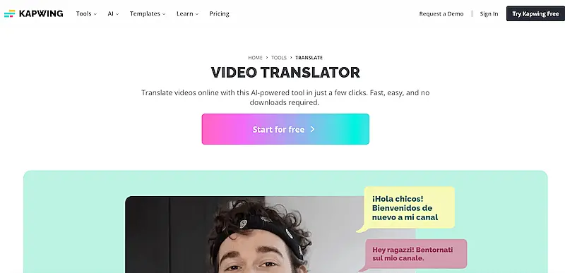 Kapwing video translator page