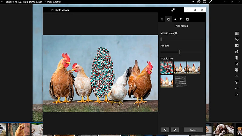 imagem que mostra a interface do visualizador de fotos da 123 Photo Viewer