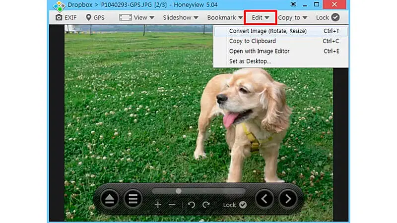 imagem que mostra a interface do visualizador de fotos Honeyview