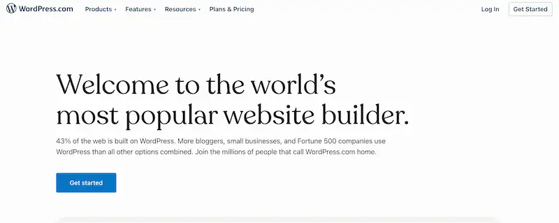 WordPress website