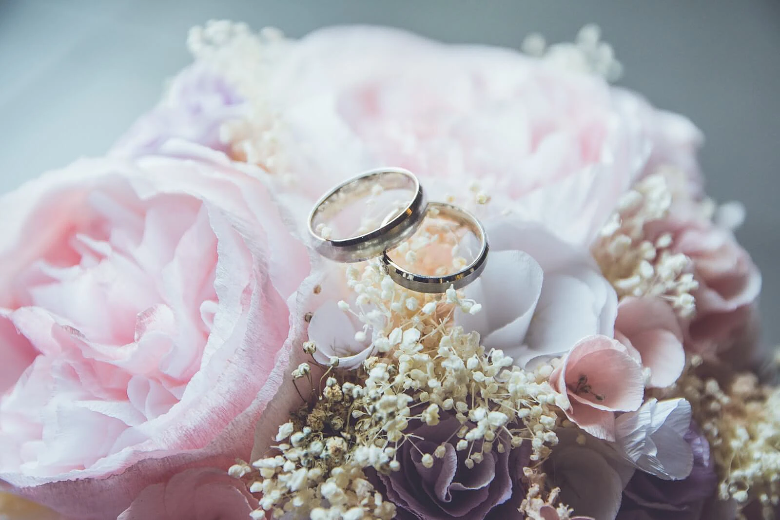 wedding-website-builders