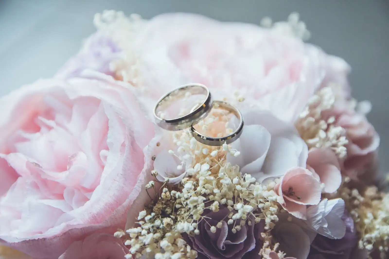 wedding-website-builders