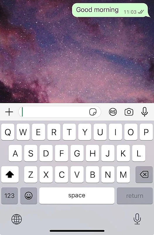 Two grey check marks on WhatsApp