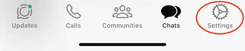 WhatsApp settings icon