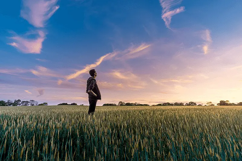 The image shows a person in a grass field, looking to the sky.
