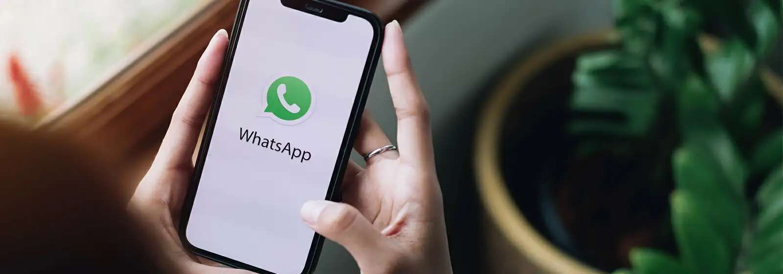 widget-whatsapp