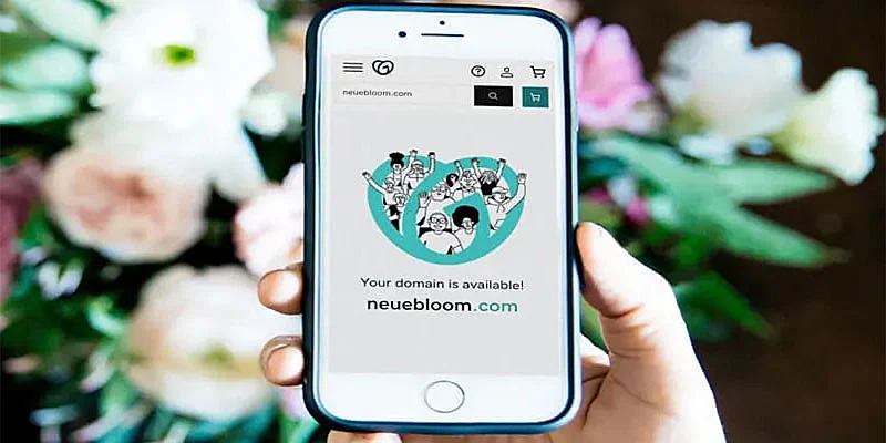 Captura de do GoDaddy